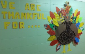 Rm 119 Turkey Decoration 2013(3)