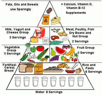 food_pyramid